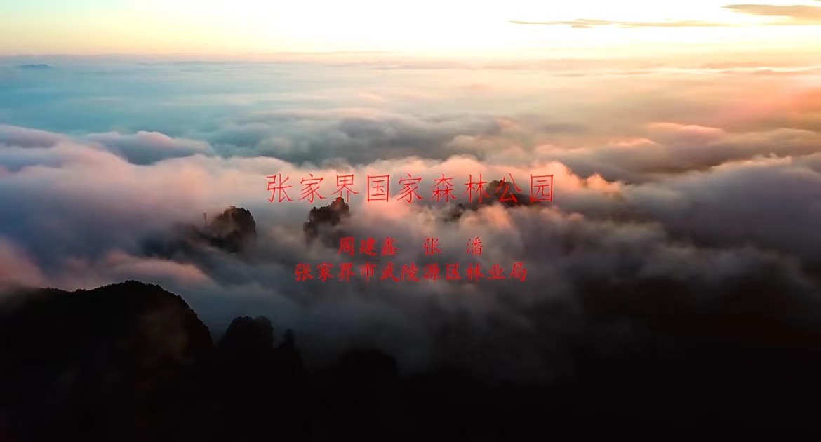 《張家界國家森林公園》