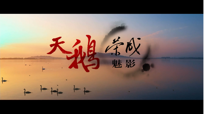 《榮成魅影——天鵝》